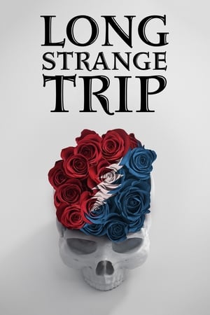 En dvd sur amazon Long Strange Trip
