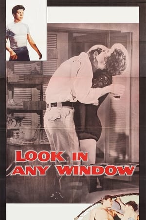 En dvd sur amazon Look in Any Window