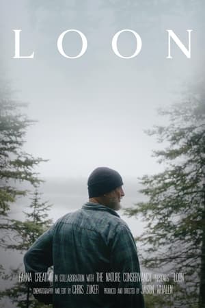 En dvd sur amazon Loon