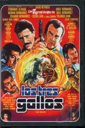 En dvd sur amazon Los tres gallos