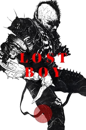 En dvd sur amazon Lost Boy