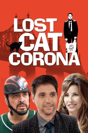 En dvd sur amazon Lost Cat Corona