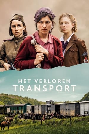 En dvd sur amazon Lost Transport