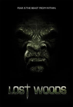 En dvd sur amazon Lost Woods