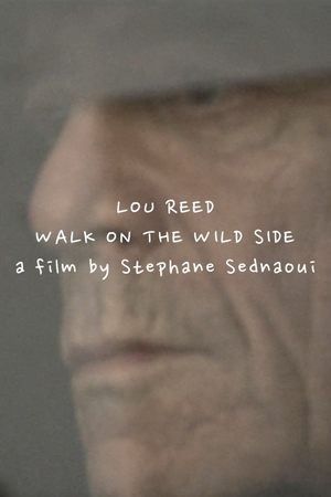 En dvd sur amazon Lou Reed: Walk on the Wild Side
