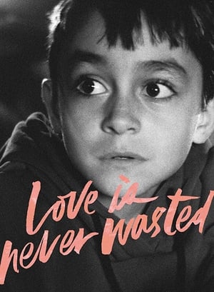 En dvd sur amazon Love Is Never Wasted