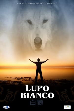 En dvd sur amazon Lupo bianco