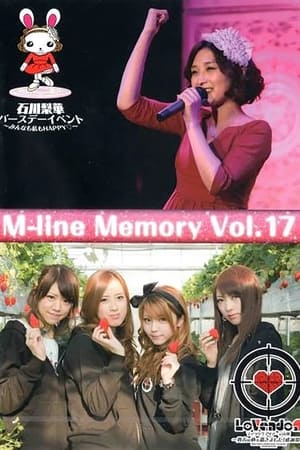 En dvd sur amazon M-line Memory Vol.17