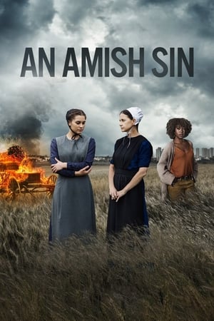 En dvd sur amazon An Amish Sin