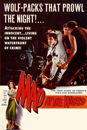 En dvd sur amazon Mad at the World