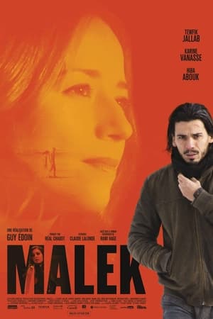 En dvd sur amazon Malek