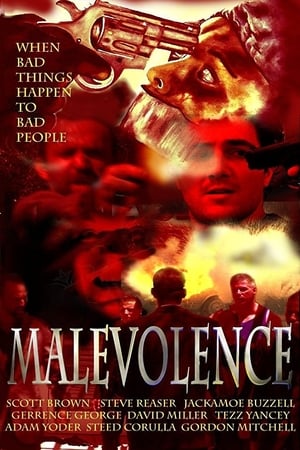 En dvd sur amazon Malevolence