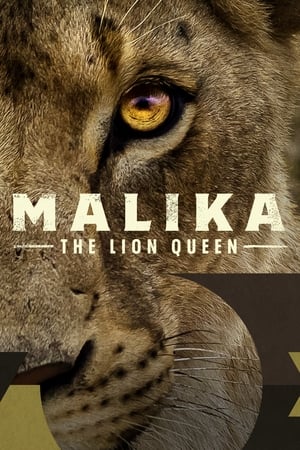 En dvd sur amazon Malika the Lion Queen