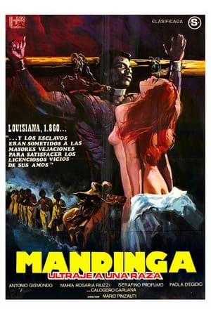 En dvd sur amazon Mandinga