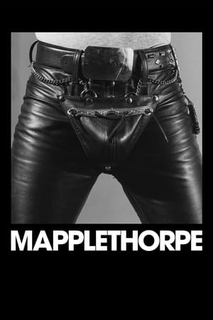En dvd sur amazon Mapplethorpe