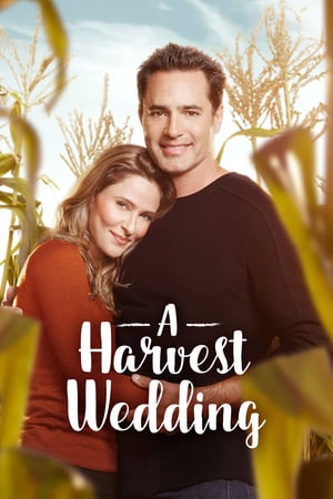 En dvd sur amazon A Harvest Wedding