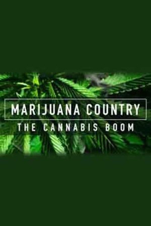 En dvd sur amazon Marijuana Country - the Cannabis Boom