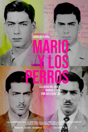 En dvd sur amazon Mario y los perros