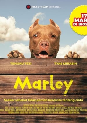 En dvd sur amazon Marley