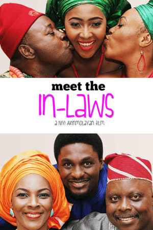 En dvd sur amazon Meet The in-Laws