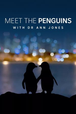 En dvd sur amazon Meet the Penguins