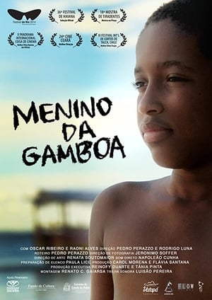 En dvd sur amazon Menino da Gamboa
