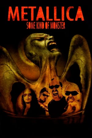 En dvd sur amazon Metallica: Some Kind of Monster