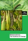Metamorphosis: The Science of Change