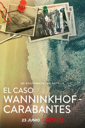 En dvd sur amazon El caso Wanninkhof - Carabantes