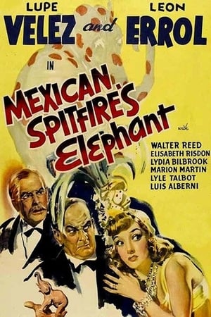 En dvd sur amazon Mexican Spitfire's Elephant