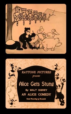 En dvd sur amazon Alice Gets Stung