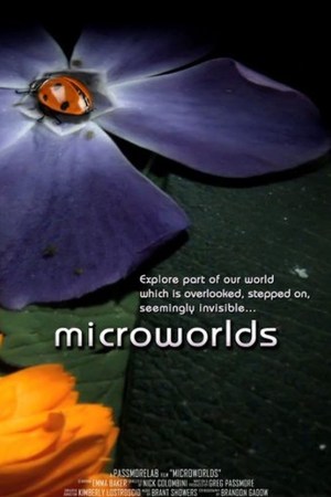 En dvd sur amazon MicroWorlds