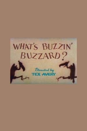 En dvd sur amazon What's Buzzin' Buzzard?