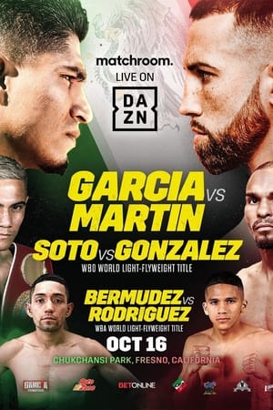 En dvd sur amazon Mikey Garcia vs. Sandor Martin