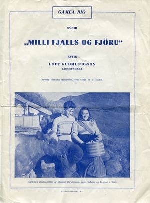 En dvd sur amazon Milli fjalls og fjöru