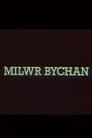 Milwr Bychan