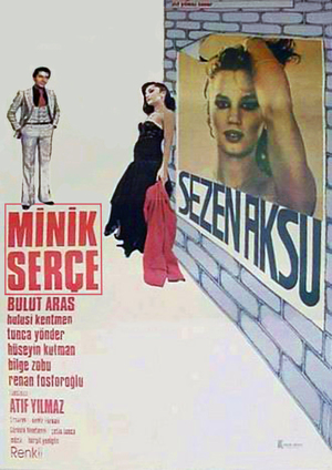 Téléchargement de 'Minik Serçe' en testant usenext