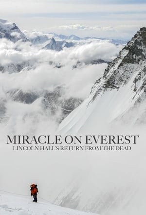 En dvd sur amazon Miracle on Everest