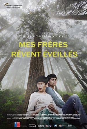 En dvd sur amazon Mis hermanos sueñan despiertos