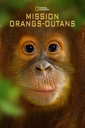 En dvd sur amazon Operation Orangutan