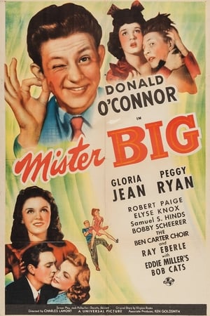 En dvd sur amazon Mister Big