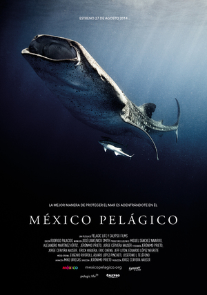 En dvd sur amazon México Pelágico