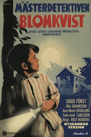 En dvd sur amazon Mästerdetektiven Blomkvist