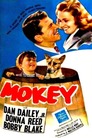 Mokey