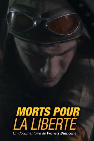 En dvd sur amazon Morts pour la liberté : Le tragique destin du vol « C Charlie »