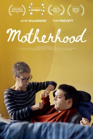 En dvd sur amazon Motherhood