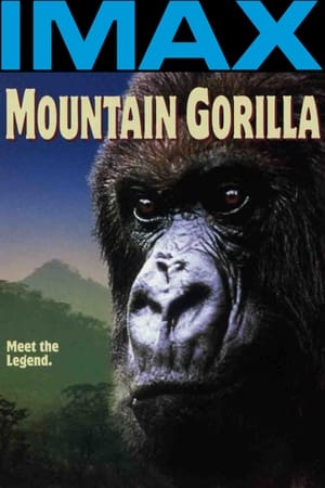 En dvd sur amazon Mountain Gorilla