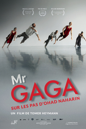 En dvd sur amazon מיסטר גאגא