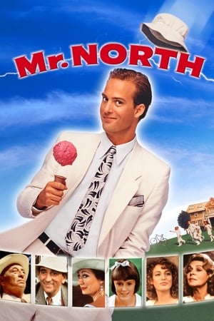 En dvd sur amazon Mr. North