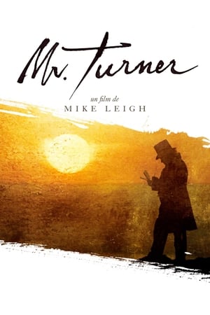 En dvd sur amazon Mr. Turner